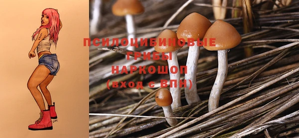 ECSTASY Иннополис