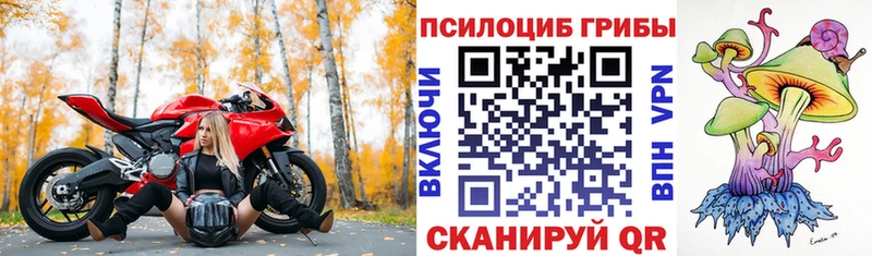 Купить  Усинск  Галлюциногенные грибы Psilocybine cubensis 